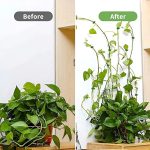 LEAFCLIP