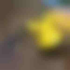 Dezinfekční parní čistič | VAPERO