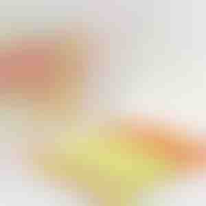 Čistič žaluzií, který zkrátí čas na polovinu | BLINDY